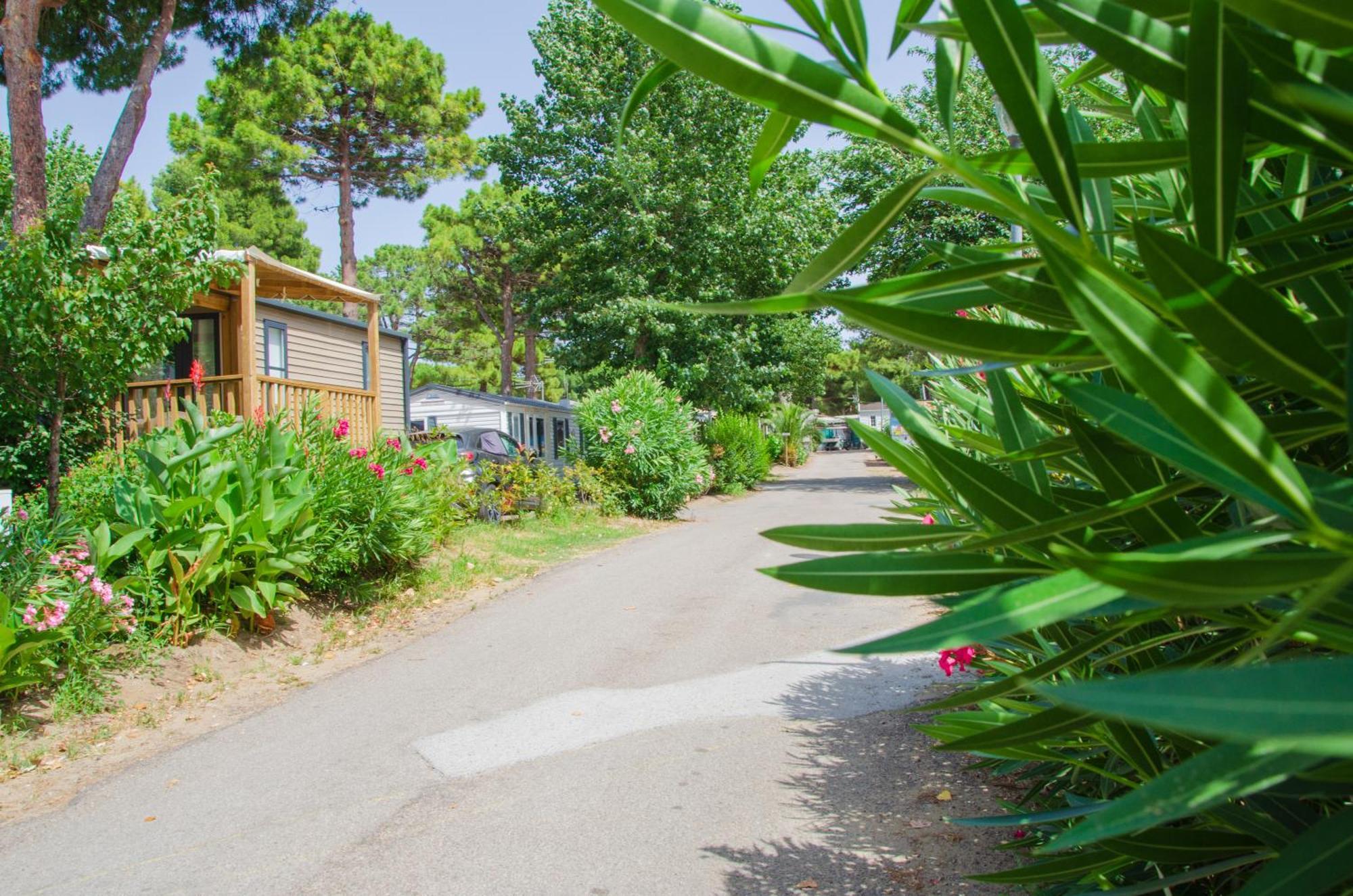 Camping Les Jardins D Agathe Le Grau-dʼAgde المظهر الخارجي الصورة
