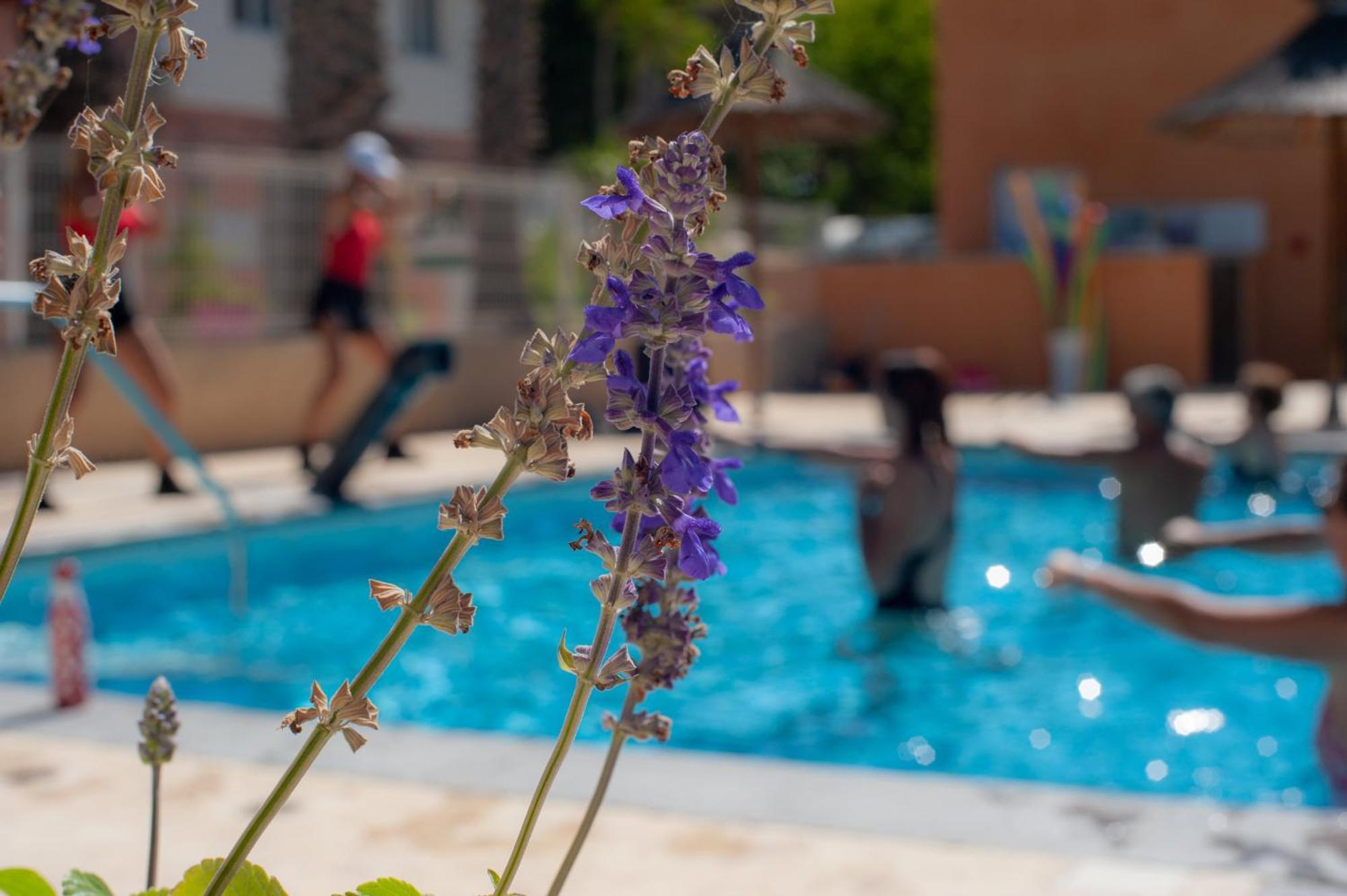 Camping Les Jardins D Agathe Le Grau-dʼAgde المظهر الخارجي الصورة