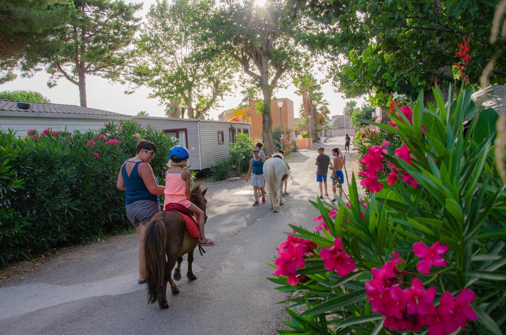 Camping Les Jardins D Agathe Le Grau-dʼAgde المظهر الخارجي الصورة